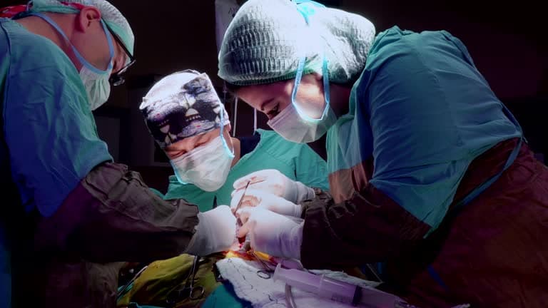 Hospital Marques Basto passa de 600 cirurgias cardíacas realizadas